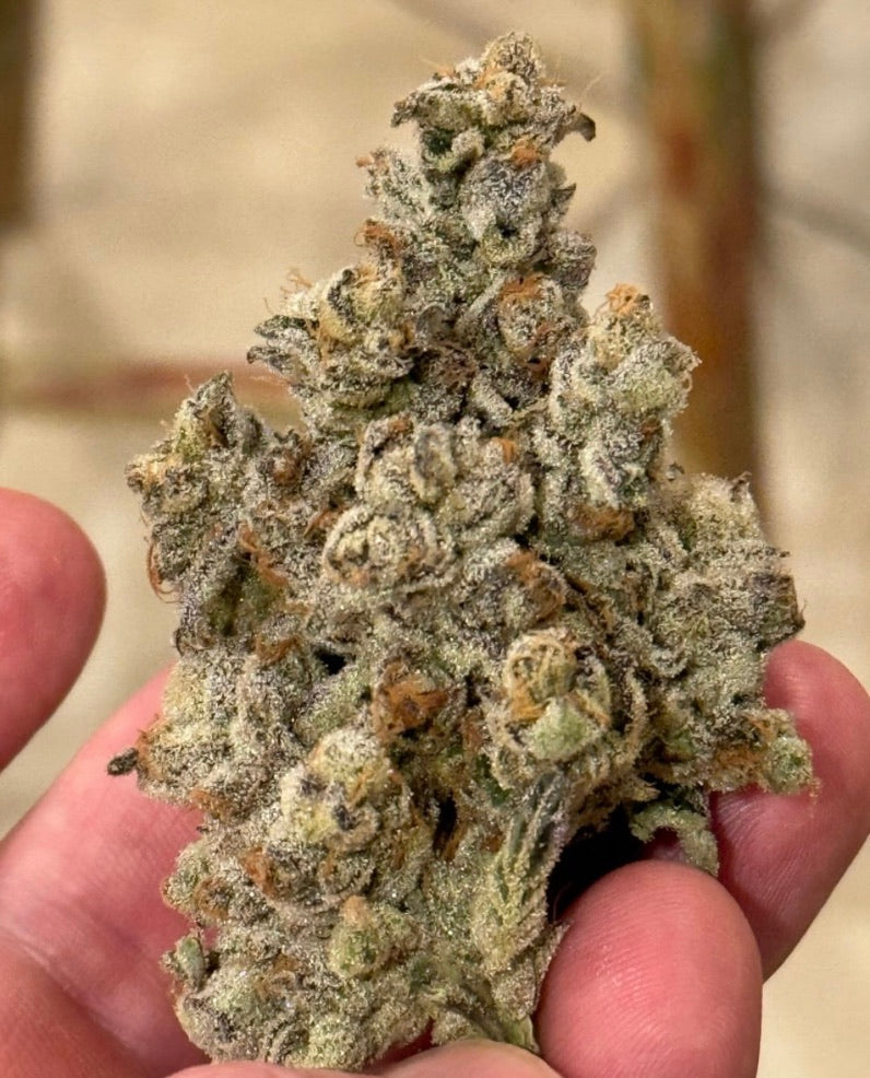 PieScream 27 (Wedding Pie x Gelato 33/Cherry Limeade f4)
