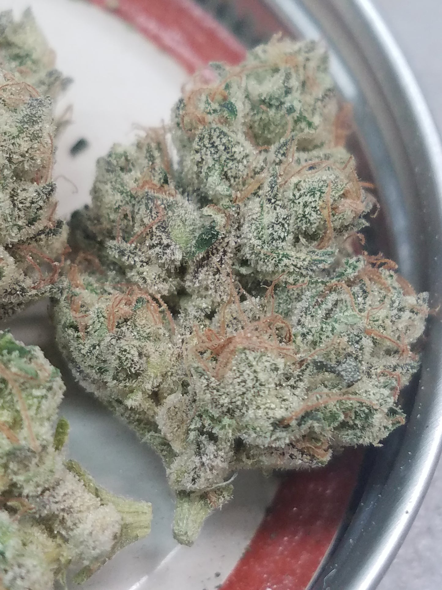 Choka Cola (G-funk Rootbeer x i95 f1)