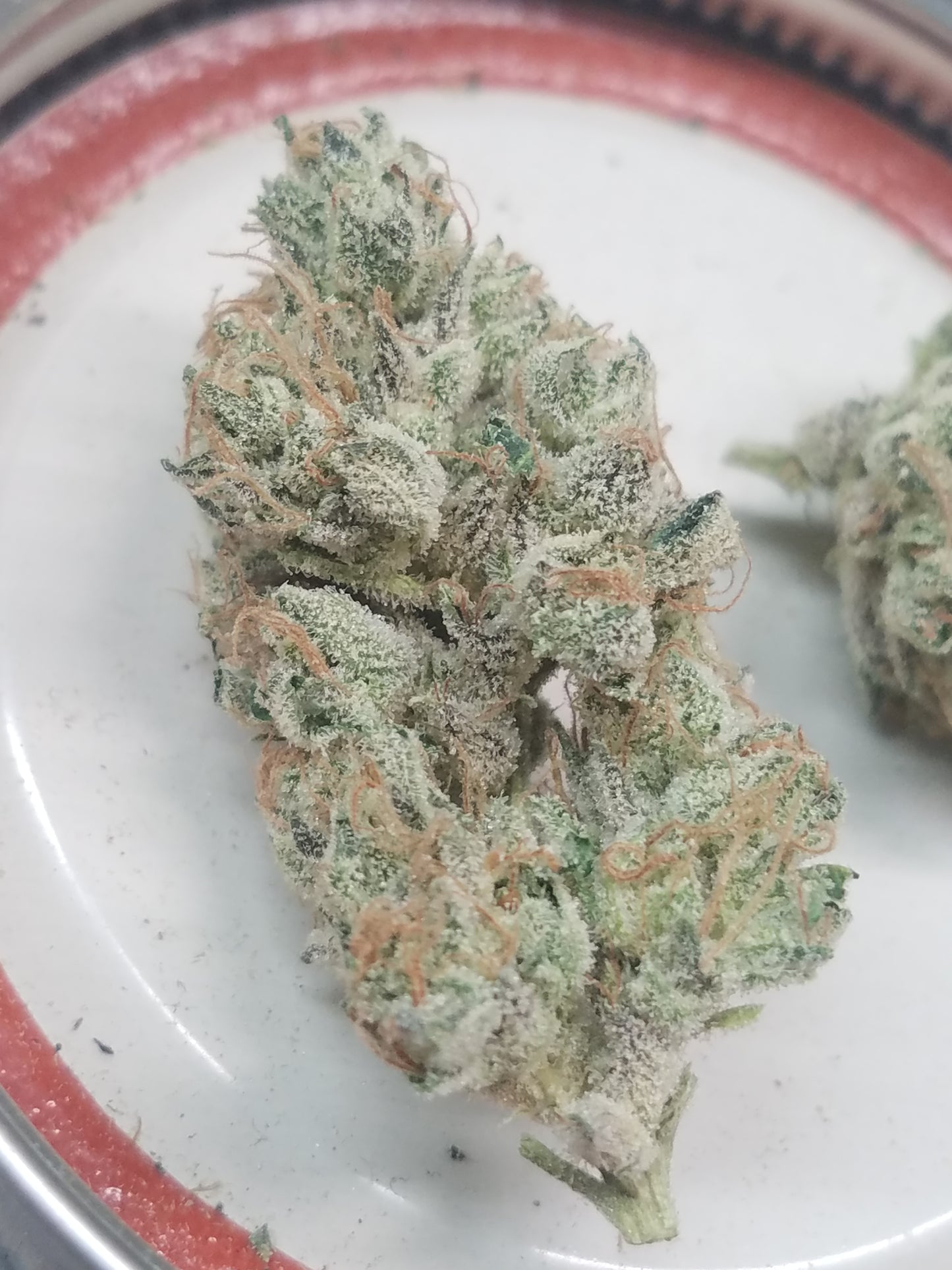 Choka Cola (G-funk Rootbeer x i95 f1)
