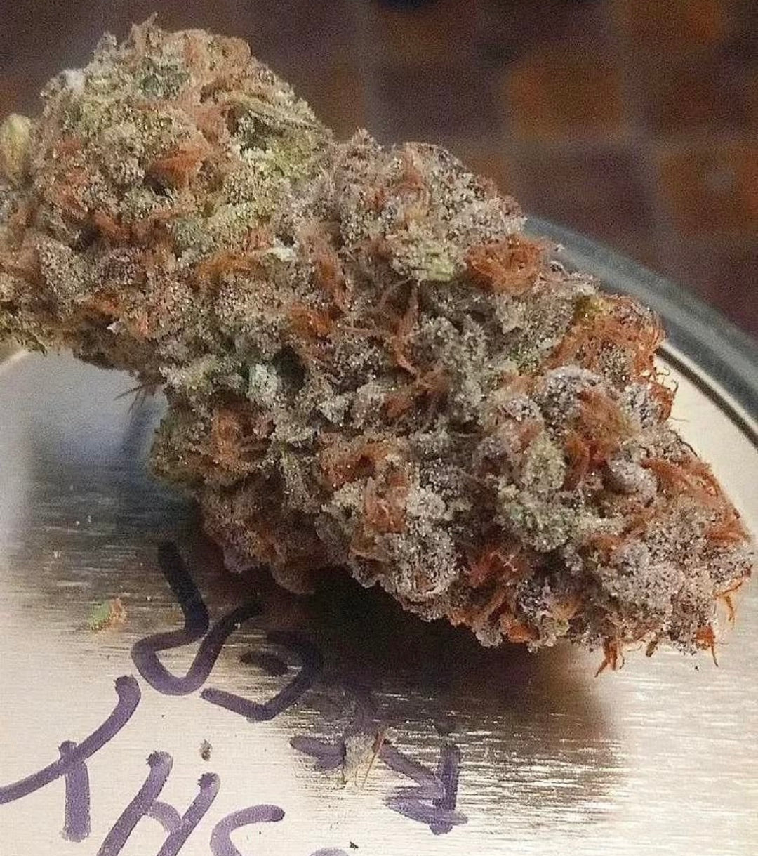 Slushee Beer (G-funk Rootbeer x Cherry Lime Slushee)