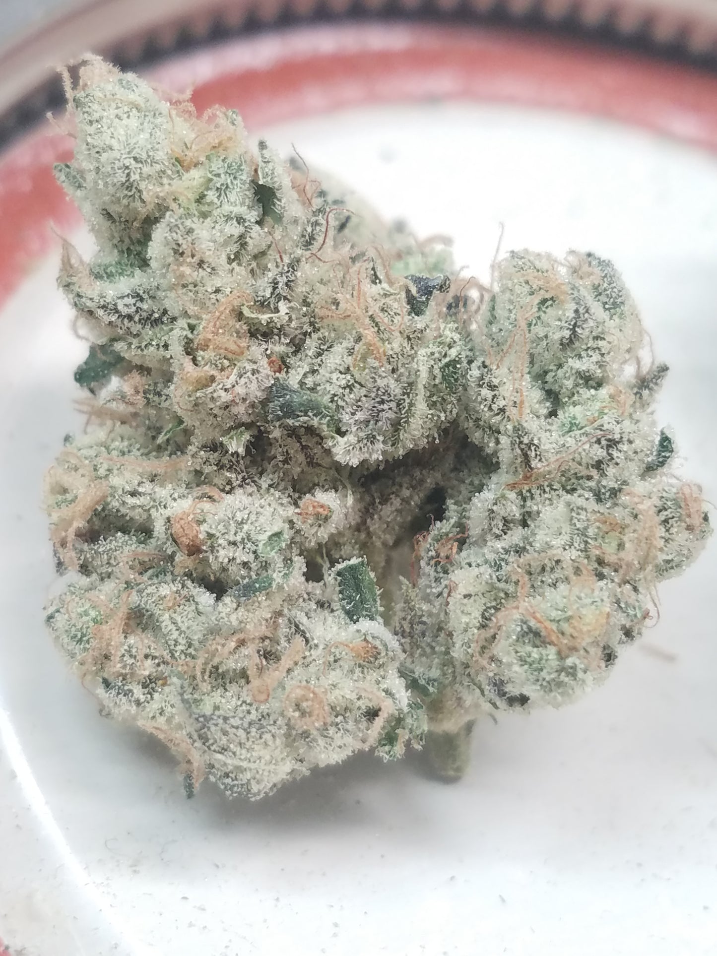 Choka Cola (G-funk Rootbeer x i95 f1)