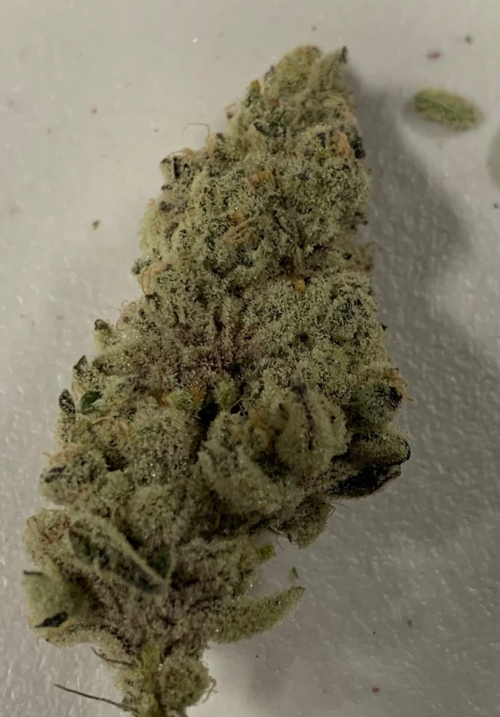 Platinum Lemon Cherry Gelato