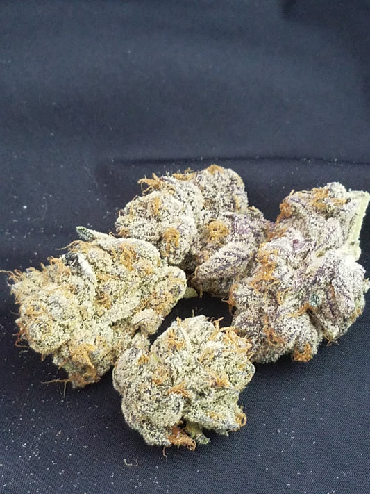 Granola Funk (Forum Cookies x Wookie 15) Award winning cut!